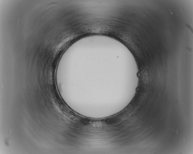 X0000102220587200808221247