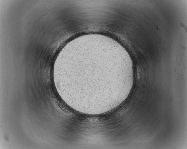 X0000102220588200808221247