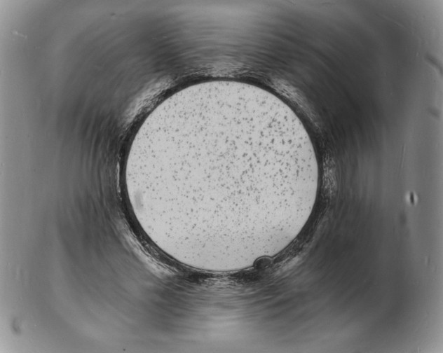 X0000102220589200808221247