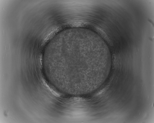 X0000102220590200808221247