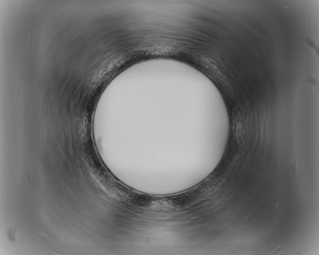 X0000102220591200808221247