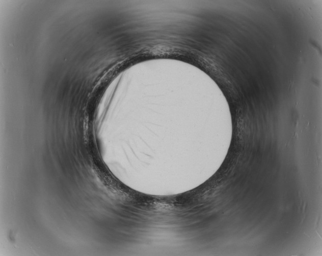 X0000102220592200808221247