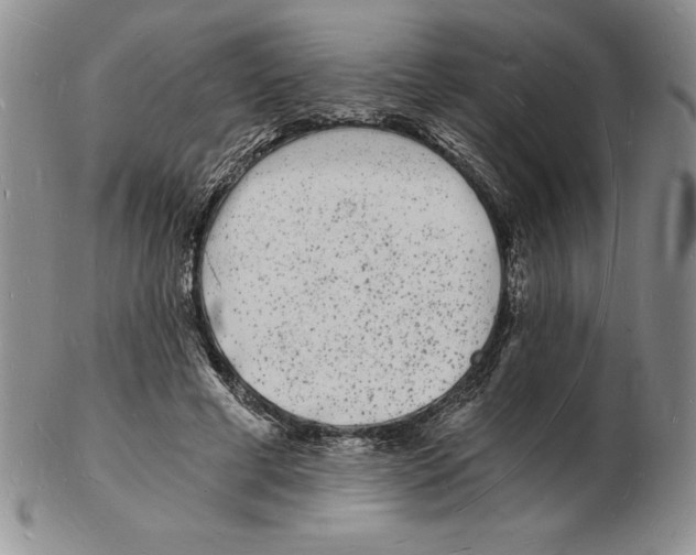 X0000102220593200808221247