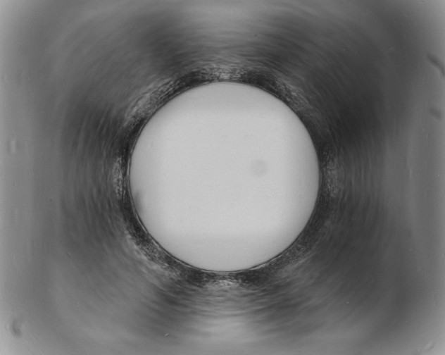 X0000102220594200808221247