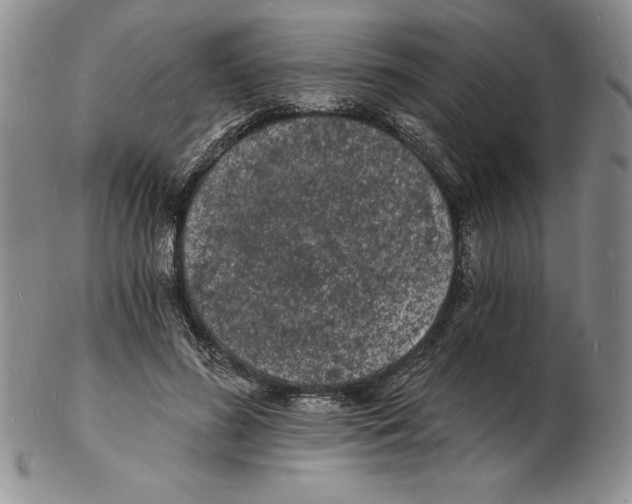 X0000102220596200808221247