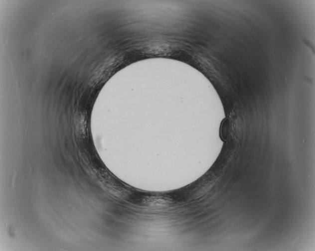 X0000102220597200808221247