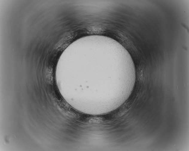 X0000102220599200808221247