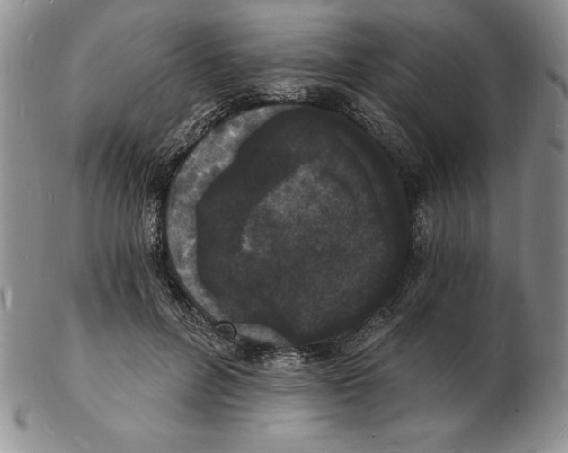 X0000102220600200808221247