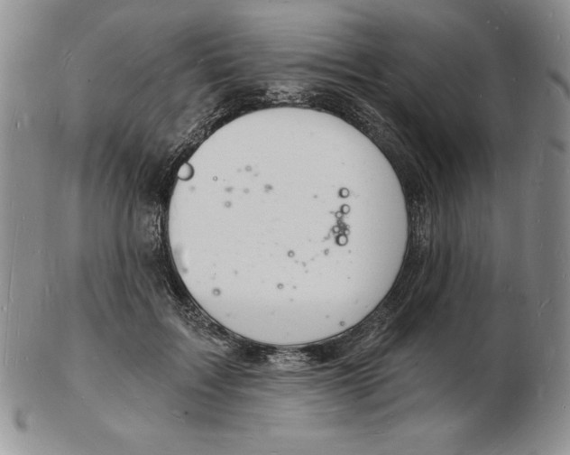 X0000102220603200808221247