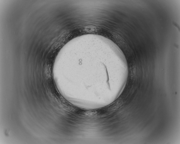 X0000102220606200808221247