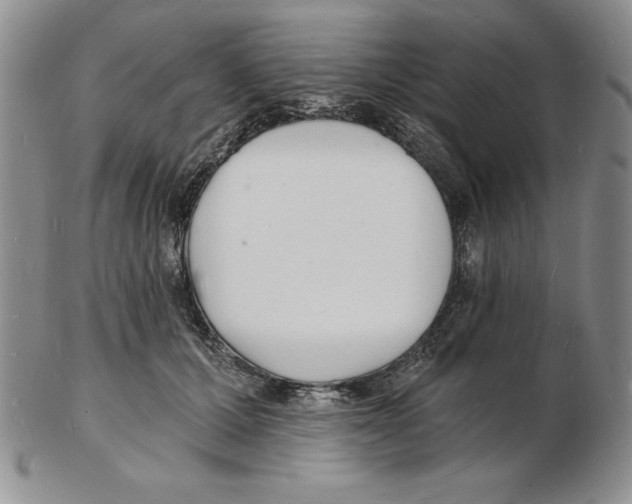 X0000102220607200808221247