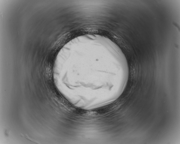 X0000102220609200808221247