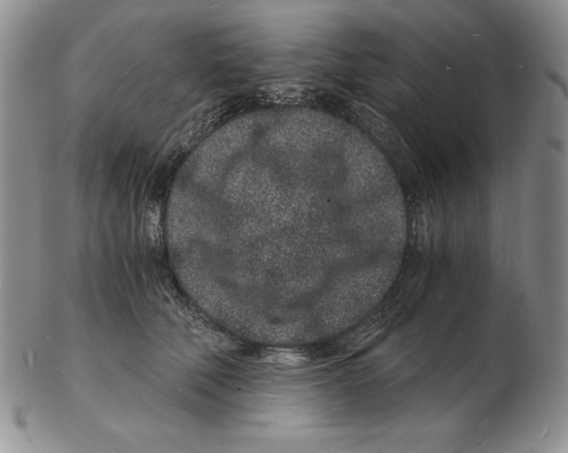 X0000102220610200808221247