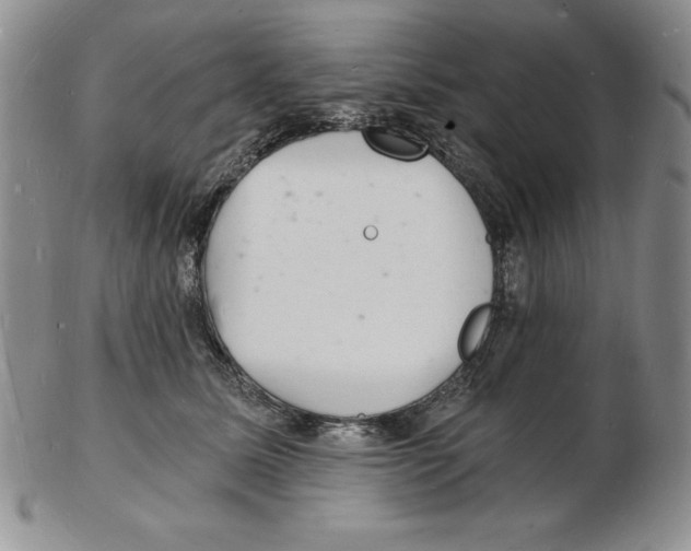 X0000102220611200808221247