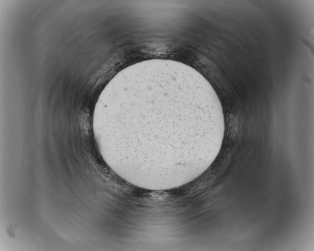 X0000102220612200808221247