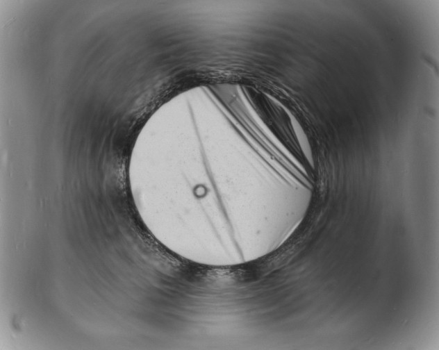 X0000102220613200808221247