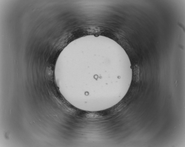 X0000102220614200808221247