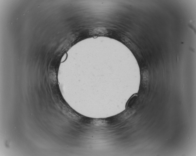 X0000102220617200808221247