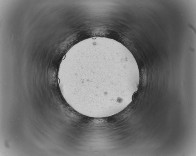 X0000102220619200808221247