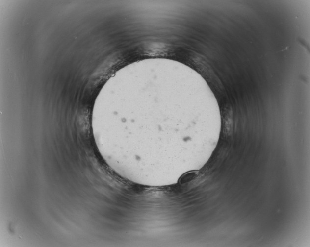 X0000102220620200808221247