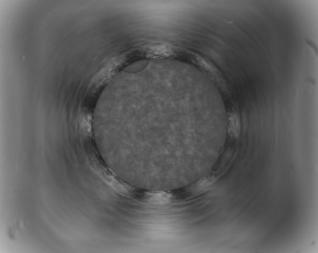 X0000102220621200808221247