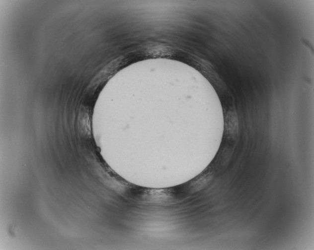 X0000102220622200808221247