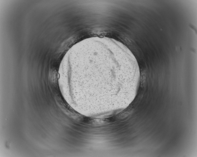 X0000102220623200808221247