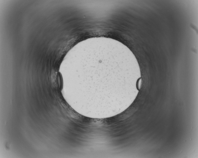 X0000102220624200808221247