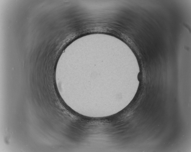 X0000102220625200808221246