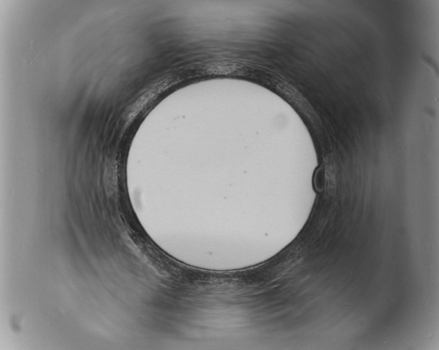 X0000102220626200808221246