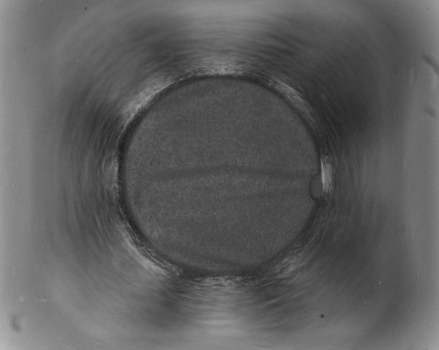 X0000102220627200808221246