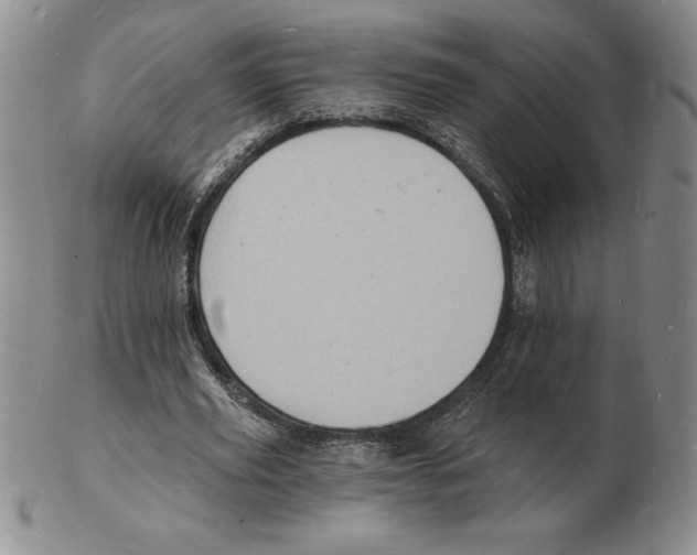 X0000102220629200808221246