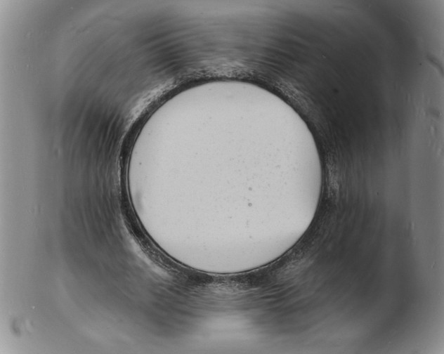 X0000102220630200808221246