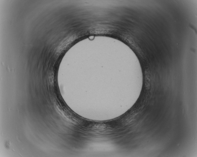 X0000102220631200808221246