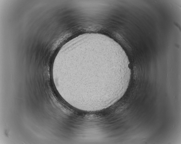 X0000102220634200808221246