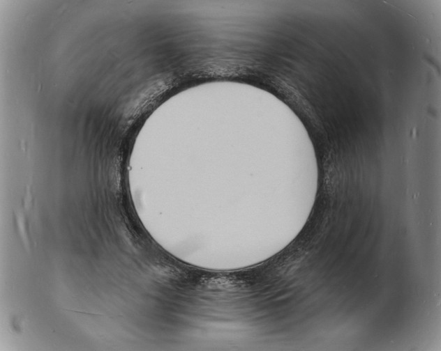 X0000102220635200808221246