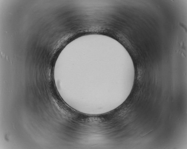 X0000102220636200808221246