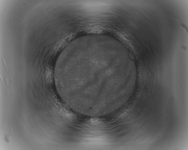 X0000102220641200808221246