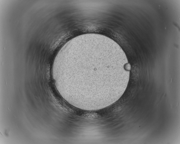 X0000102220642200808221246