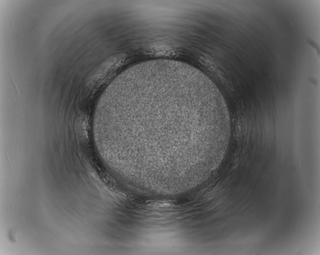 X0000102220643200808221246