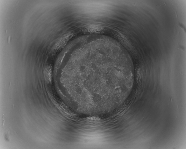 X0000102220644200808221246