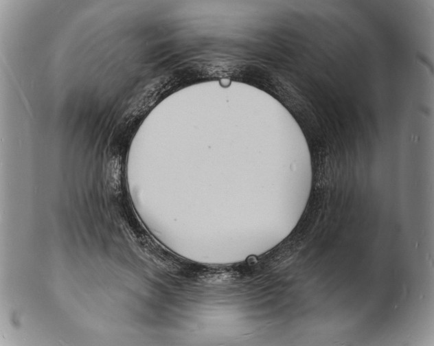 X0000102220646200808221247