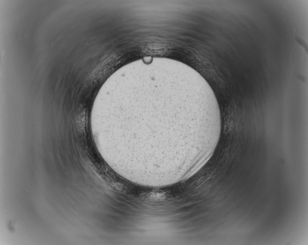 X0000102220647200808221247