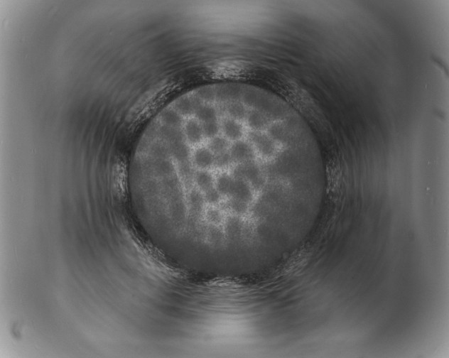 X0000102220648200808221247