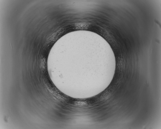 X0000102220649200808221247