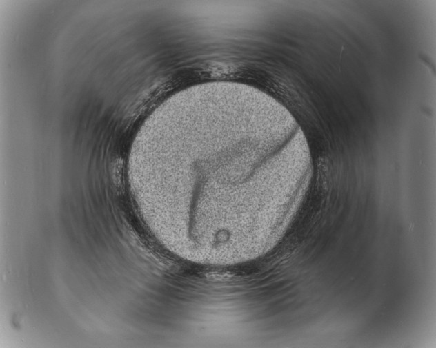 X0000102220650200808221247