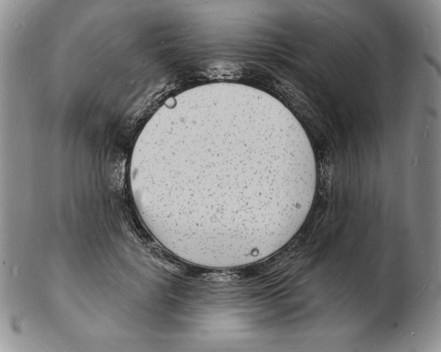 X0000102220652200808221247