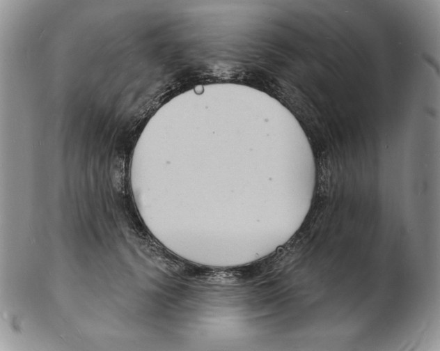 X0000102220656200808221247