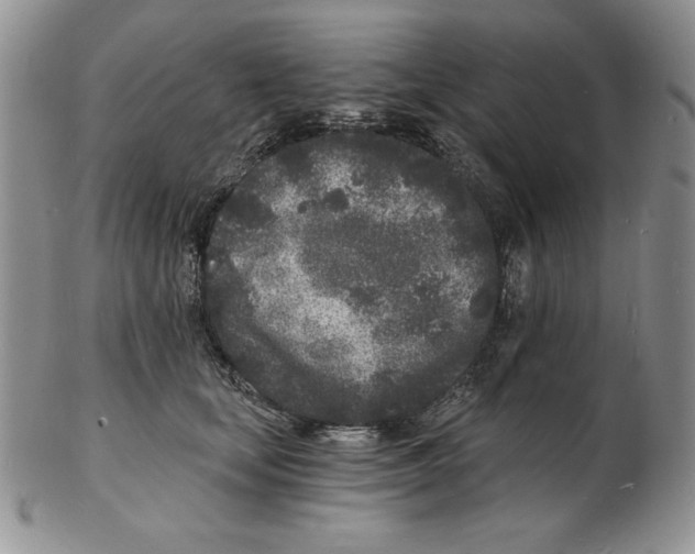 X0000102220659200808221247