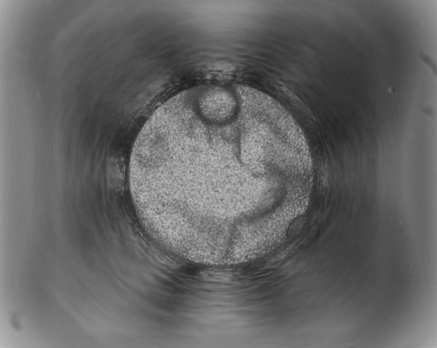 X0000102220661200808221247